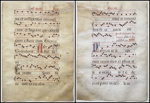 Antifonario - antifonario,