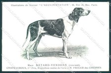 Animali Canna per Cani Francais Blanc et Noir Segugio Francese Bianco Nero pc VK9531