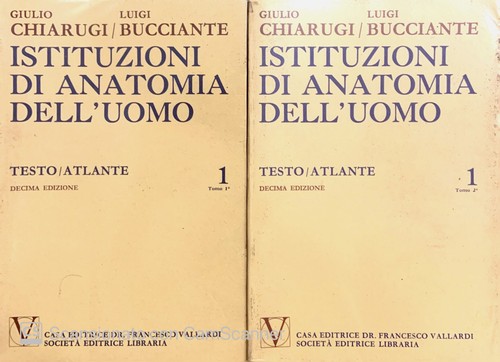 Istituzioni anatomia dell - istituzioni, di