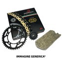 Kit Catena HONDAVTR1000 Sp-1