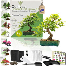 Kit First Bonsai – Kit