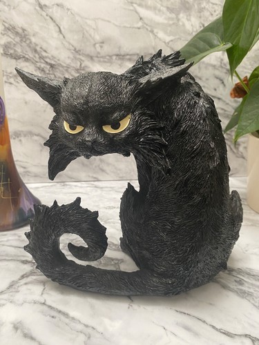 Large black cat spite - large,