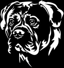 Adesivo Bullmastiff - adesivo