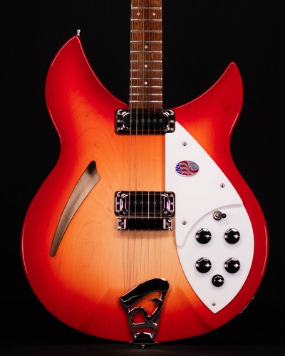 Rickenbacker 330 double - rickenbacker,