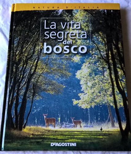 Rita alessio grassi vita - grassi,
