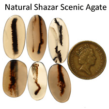 Lotto 6 pezzi pietre preziose cabochon ovali in agata scenica naturale Shazar...