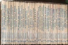 PICCOLO RANGER lotto completo