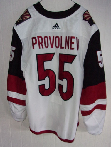 Arizona coyotes vladislav - arizona,