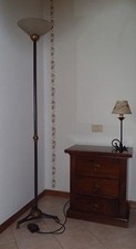 LAMPADA a STELO . PIANTANA in