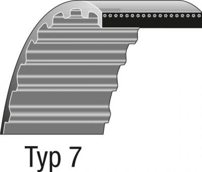 Cinghia trasmissione