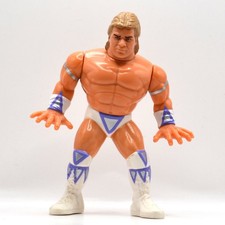 Hasbro WWF Wrestling