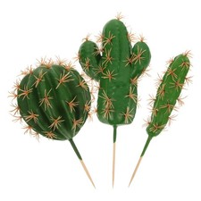 3 pezzi di piante di cactus