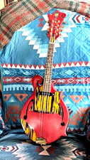 Mandolino elettrico acustico - mandolino,