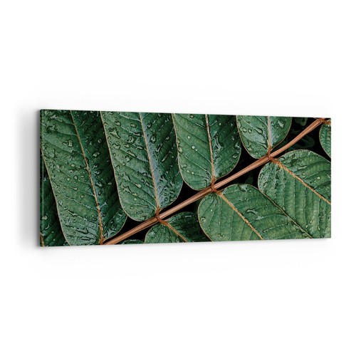 Quadro tela 100x40cm gocce - quadro,