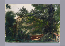 PIETRO ANNIGONI: VERSILIA 1973