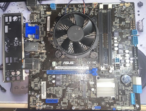 Scheda madre asus - scheda,