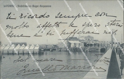 Bf16 cartolina livorno - bf16,