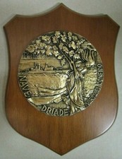 Crest "DRIAD SHIP F555 -