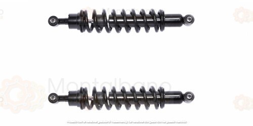0200076 coppia ammortizzatore - coppia,
