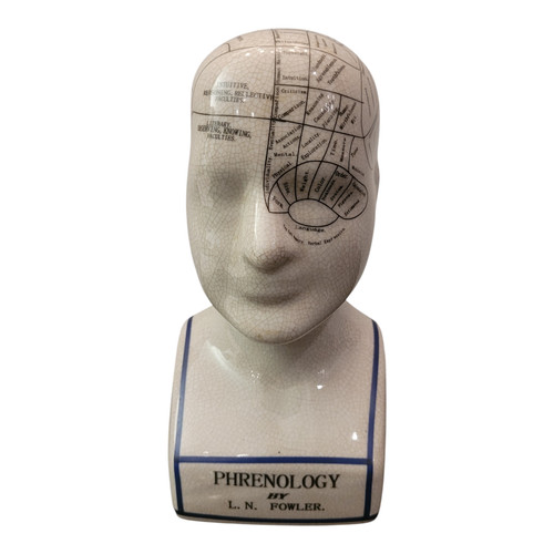 Testa frenologia statuina - da,