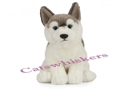 Peluche cucciolo husky seduto
