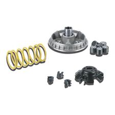 Variatore variatore Malossi