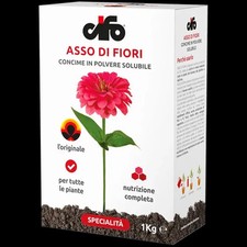 Asso di Fiori CIFO Concime