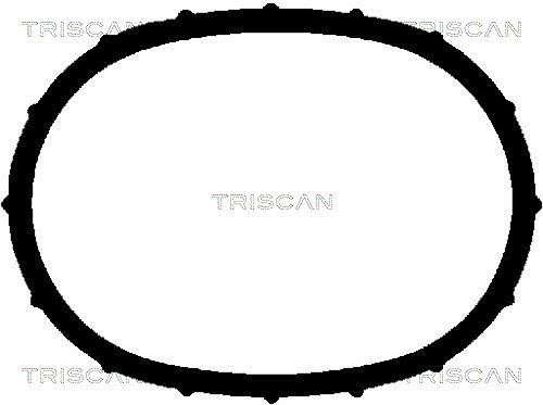 Triscan guarnizione testata - triscan,