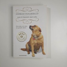 NON TI LASCERO' MAI SOLO -