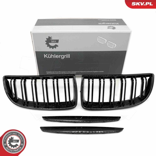 Griglia radiatore esen - radiatore,