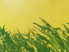 MATTIA MORENI: Litografia Storica Firmata, Numerata, Datata; Perfetta.STUPENDA!!