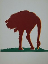 GINO MAROTTA STRUZZO RIPRODUZIONE OPERA STAMPA FOTOLITOGRAFICA BOLAFFI ARTE 