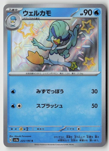 Quaxwell 225 190 shiny - 225/190,