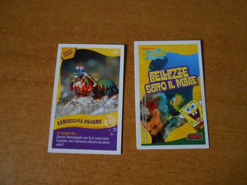 Figurina card spongebob crai - card,