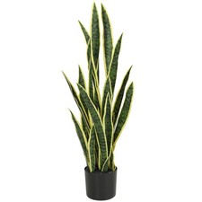 Outsunny Sanseveria Finta in