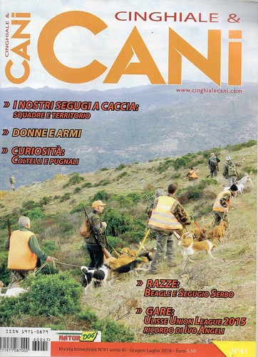 Cinghiale cani 2016 41 - cinghiale,