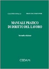 Manuale pratico diritto lavoro
