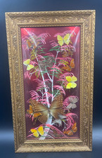 Quadro con Farfalla Farfalle