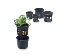 Fioriera in vaso per patate