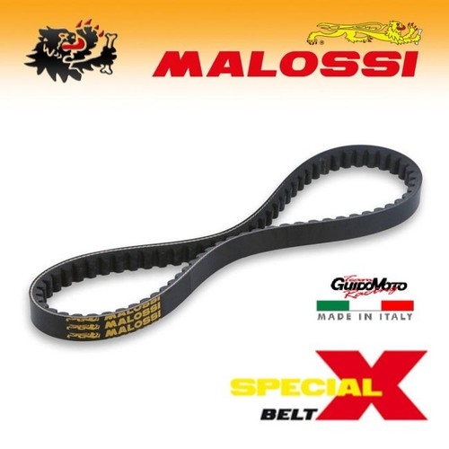 Cinghia special belt - special,