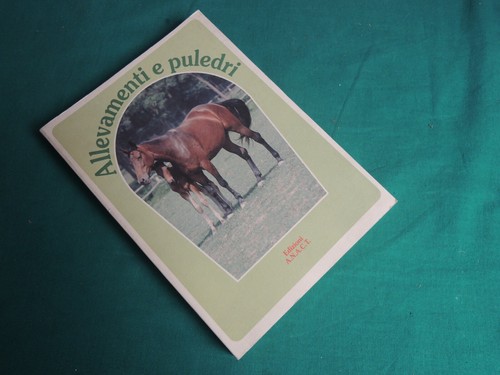 L68 allevamenti e puledri - *l68*-,