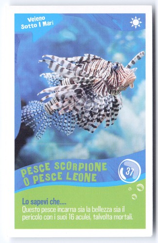 T613 spongebob crai tcg - [t613],