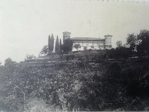 Cartolina corno rosazzo - corno,