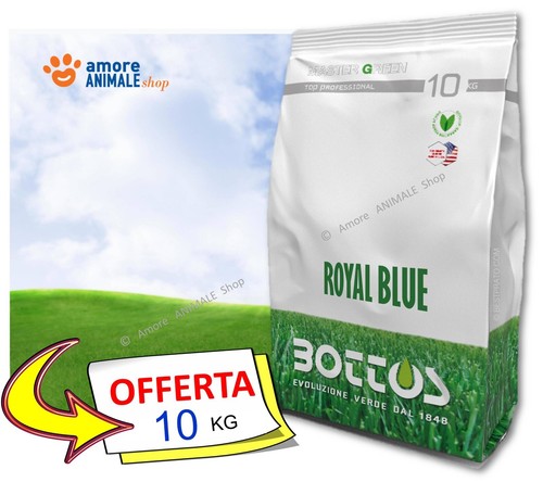 Bottos royal blue 10 - bottos,