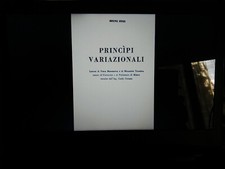 Principi Variazionali - Bruno