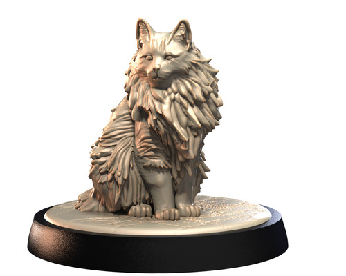 Norwegian forest cat pose 1 - cat,