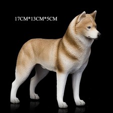 Siberian Husky cane animale