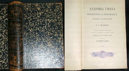 Anatomia umana descrittiva - umana,