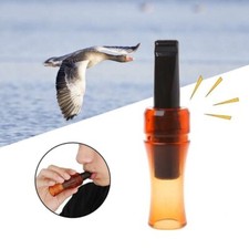 Corvo Suono Caccia Gioco