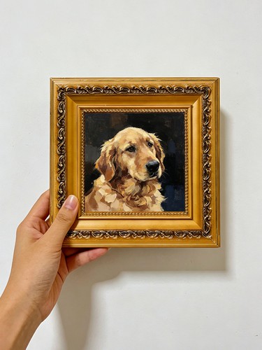 Ritratto cane retriever dorato - ritratto,